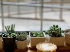 脱脂奶奥白-Cafe Villa