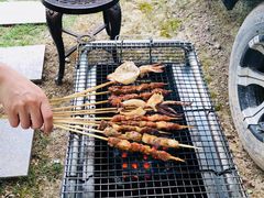 -崇明东平国家森林公园烧烤房车露营地