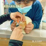 萌兔的一场健康之旅🚢｜关忠动物医院🏥