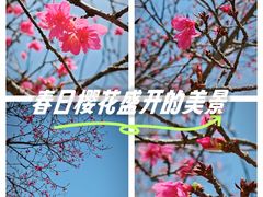 -东莞植物园
