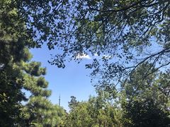 -敬亭山风景名胜区