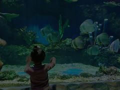 -西安华夏文旅水世界