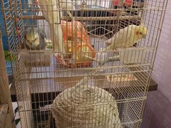 -潇湘·永州会馆(百子湾店)