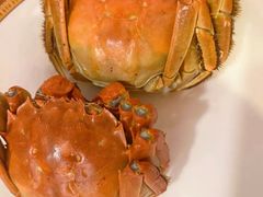 -王宝和酒家(黄浦店)