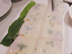 -南枝记
