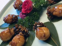 河豚鱼宝宝-鲐赏河豚(长寿店)