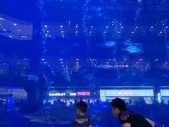 -成都浩海立方海洋公园