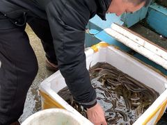 -盘龙黄鳝(盘龙居店)