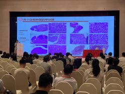 -光大会展中心国际大酒店-宴会厅