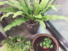 -囿面传统制面馆(中央路店)