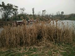 -白鹭湾湿地公园