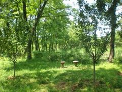 金孔雀温泉旅游度假村-金孔雀温泉旅游度假村