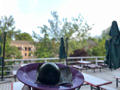 豆沙青团-清华大学-观畴园餐厅
