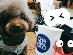 -茶百道(招商花园城店)