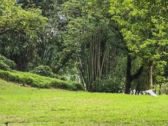 -福建鲤鱼洲酒店