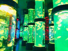 -石林冰雪海洋世界