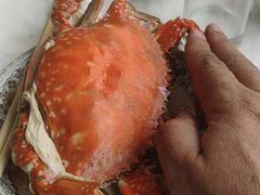 -渔民船说·北塘海鲜·天津菜·海肠捞饭(北塘古镇店)