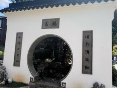 -瑞面(吴宫泛太平洋酒店)