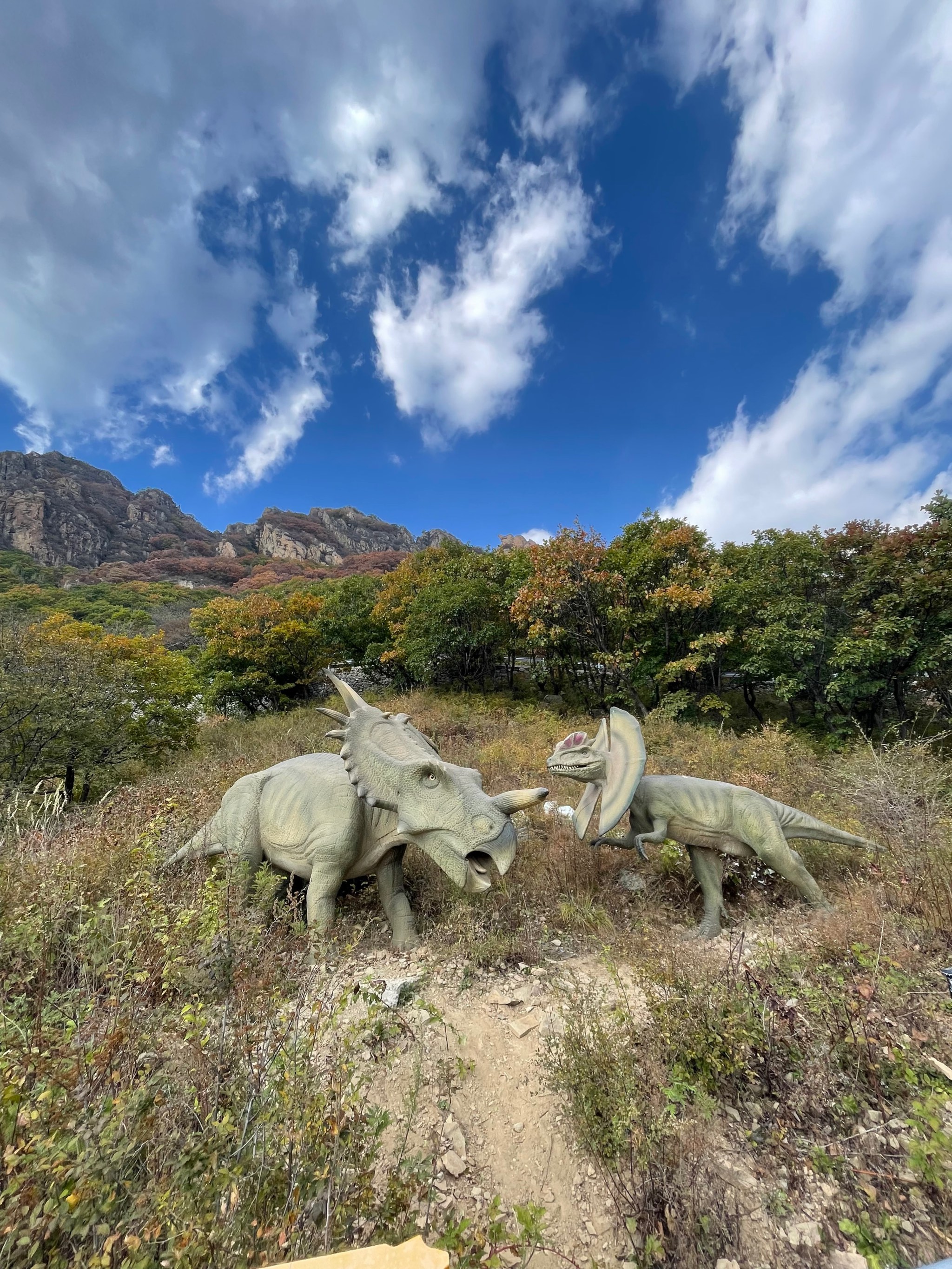 百瑞谷自然风景区图片图片