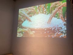 -太二酸菜鱼(永旺梦乐城店)
