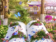 -天目湖山水园