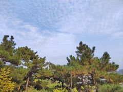 -北岭山森林公园