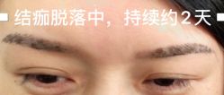 -HQ半永久纹绣纹眉