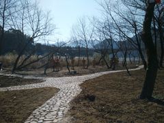 -楠溪江风景名胜区