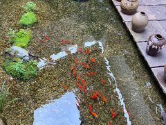 -几荷·恰似故人来(秀水广场店)