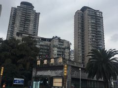 -朱毅育龙游泳俱乐部
