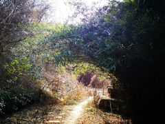 -南京市江宁方山