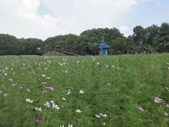 -广州市流溪河国家森林公园