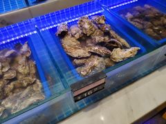 水产区-悦海·家宴·冰花皮皮虾大锅贴(宝龙店)