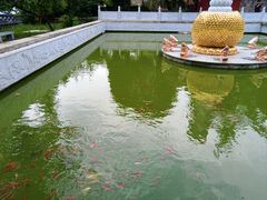 -泰山风景名胜区-普照寺