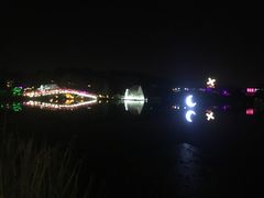-大塘金香草谷