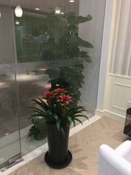 -银座Calla日式美容沙龙