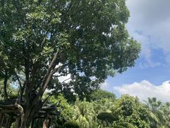 -南宁南湖公园