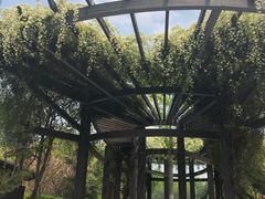 -荷风细雨·中国茶宴(碧云店)