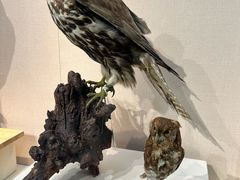 -国家自然博物馆