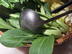 -佬肥猫(国华广场店)