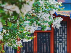 -恭王府博物馆