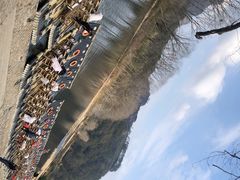 -九曲溪竹筏码头