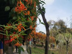 -桃花涧