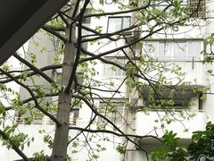 -乐凯撒披萨(东方新世界店)