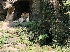 -杭州动物园