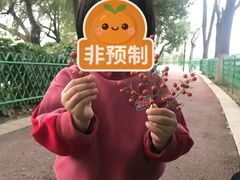 -金银湖国家城市湿地公园