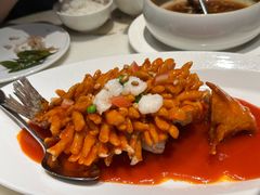 -金牌外婆家(万象城店)