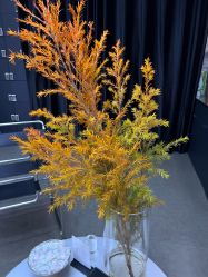 -Hair Code芭曲发型