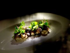 鸡肉羊肚菌-wann lounge 低温慢煮牛排·清吧