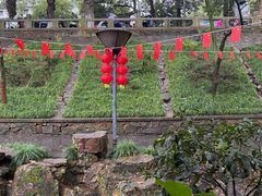 -兴福老面馆(寺路街店)